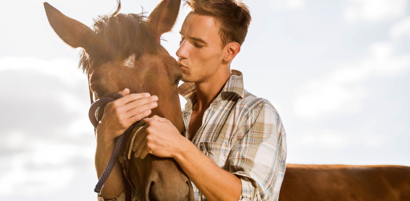 Reitbekleidung für Herren 🩷 online kaufen