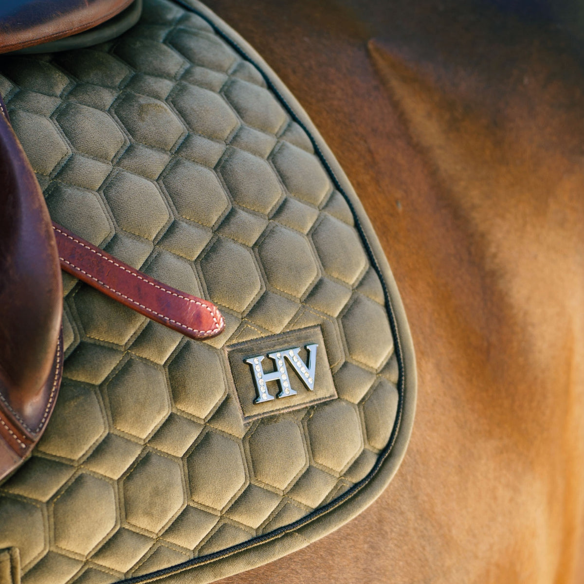 HV POLO »Vielseitigkeitsschabracke HVPDorian Green