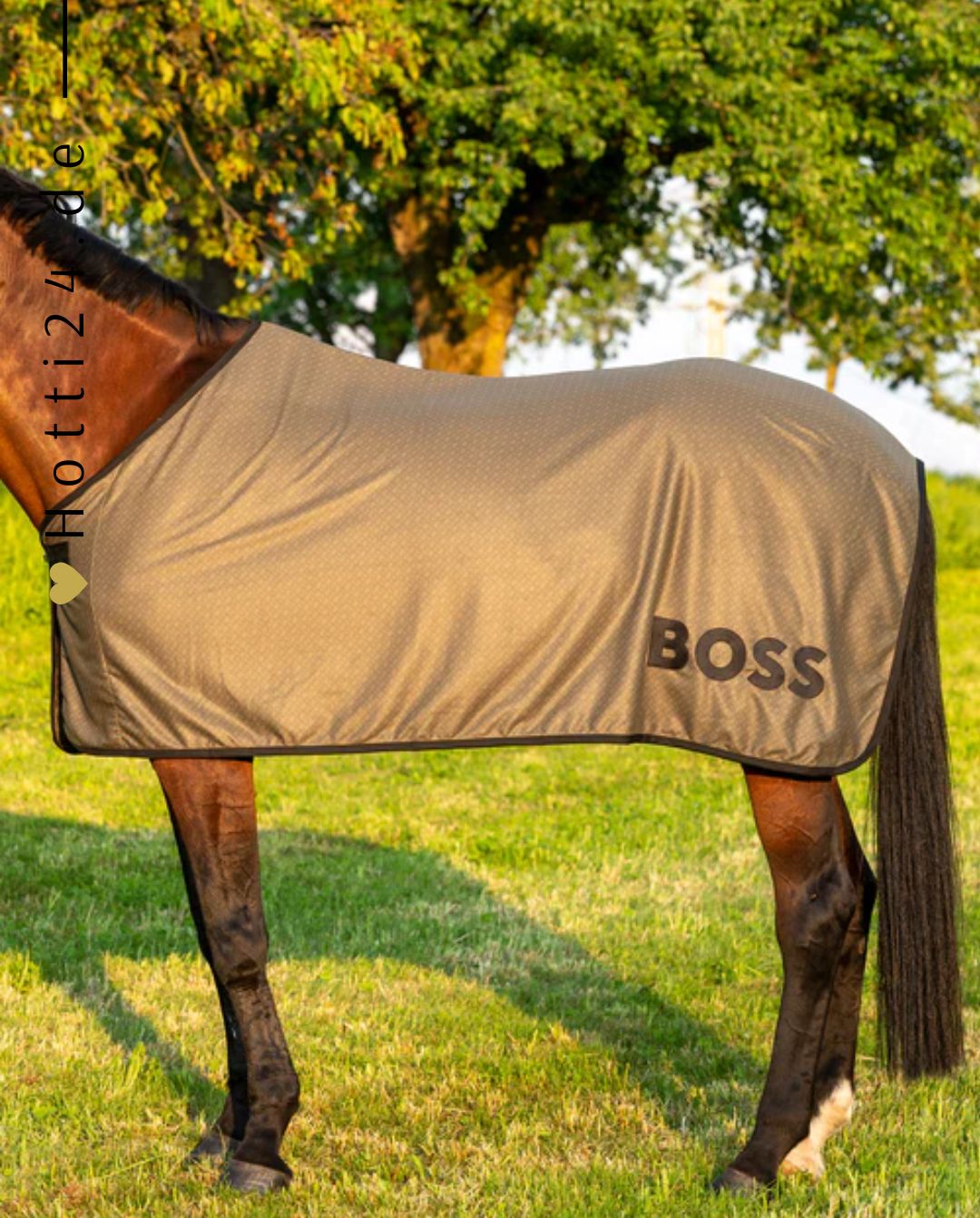 BOSS Equestrian »Pferde Abschwitzdecke Signature Monogram Olivine Grün, Mit einem stilvollen Monogram und dem Logo auf der linken Seite. Veredelt mit schwarzem Einfassband und atmungsaktivem Material Artikelnummer b3h0801-374 erhältlich bei www.Hotti24.de - Linke Seite mit Logo