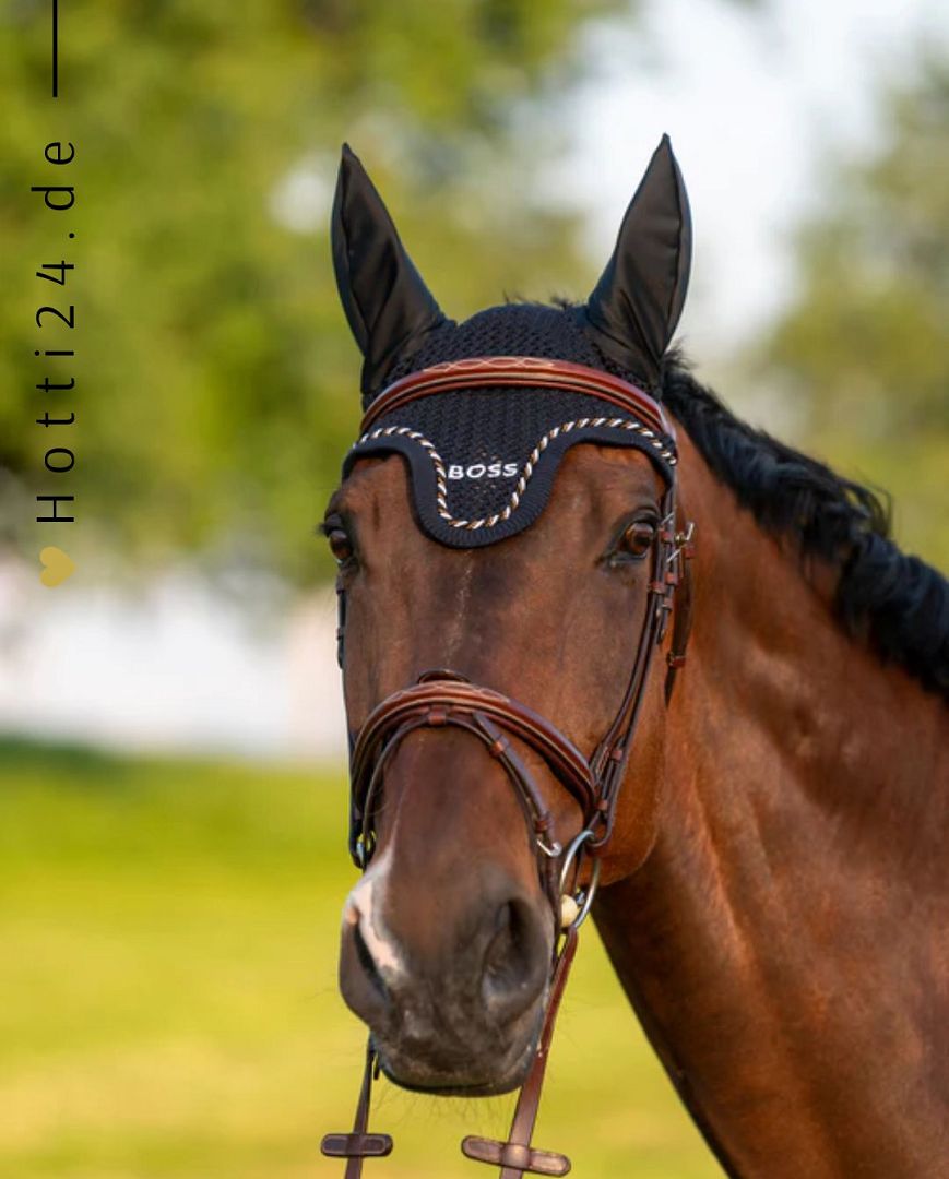 BOSS Equestrian Pferde Fliegenhaube "Signature Stripe" in der Farbe "Sky Captain" mit der Artikelnummer B3H1101-404. Leider sind aufgrund der begrenzten Bandbreite oder Sehbeeinträchtigung keine weiteren Details oder Bilder verfügbar. Erhältlich unter www.Hotti24.de.