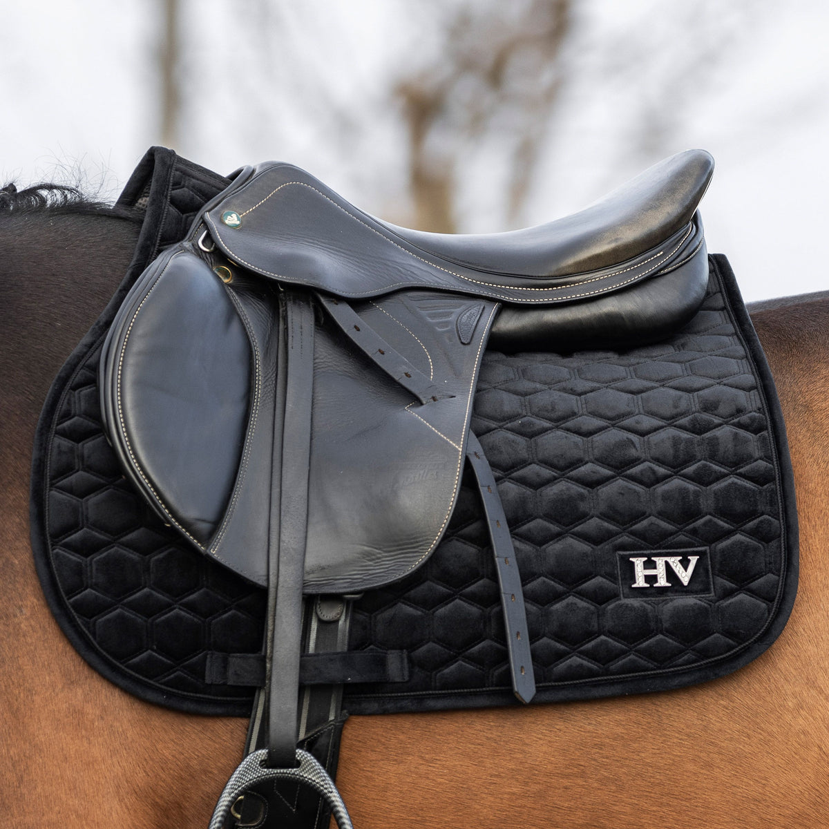 HV POLO »Vielseitigkeitsschabracke HVPDorian Black