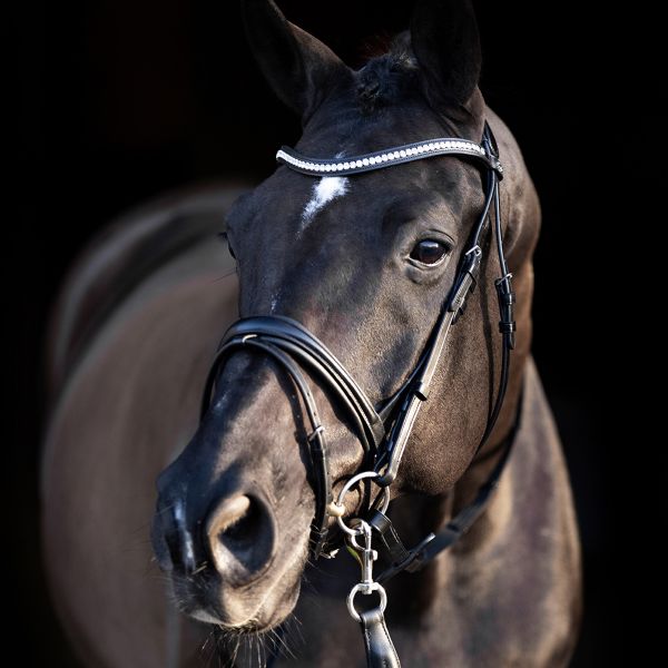 HV POLO »Trensenzaum HVPLegacy de Luxe