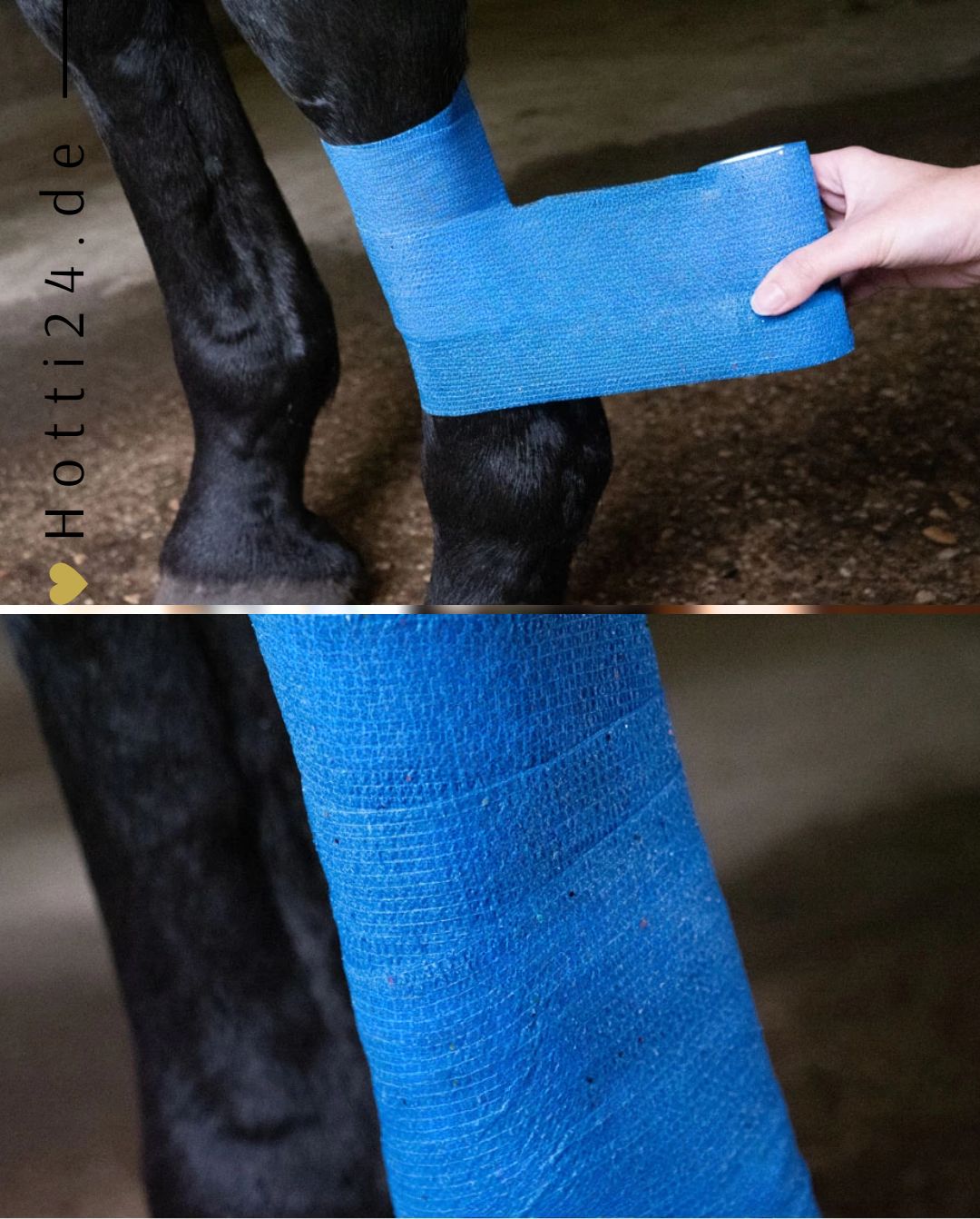 excellent-bandage-animal-profi-band0000l-kaufen-www.hotti24.de