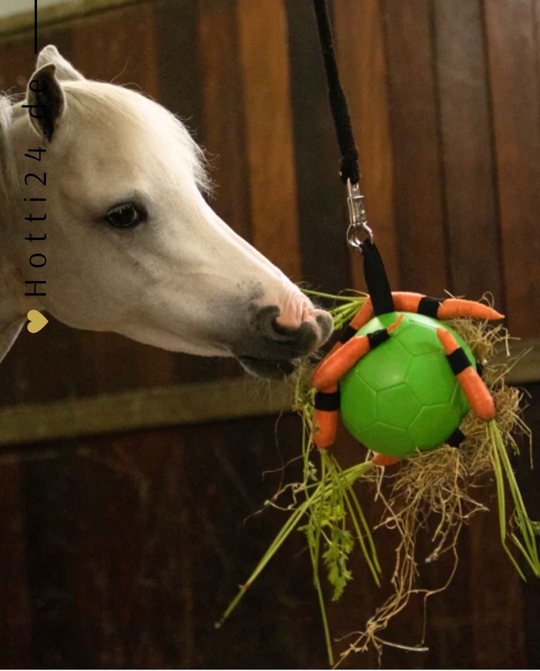 excellent-horse-fun-play-ball-kaufen-hotti24.de