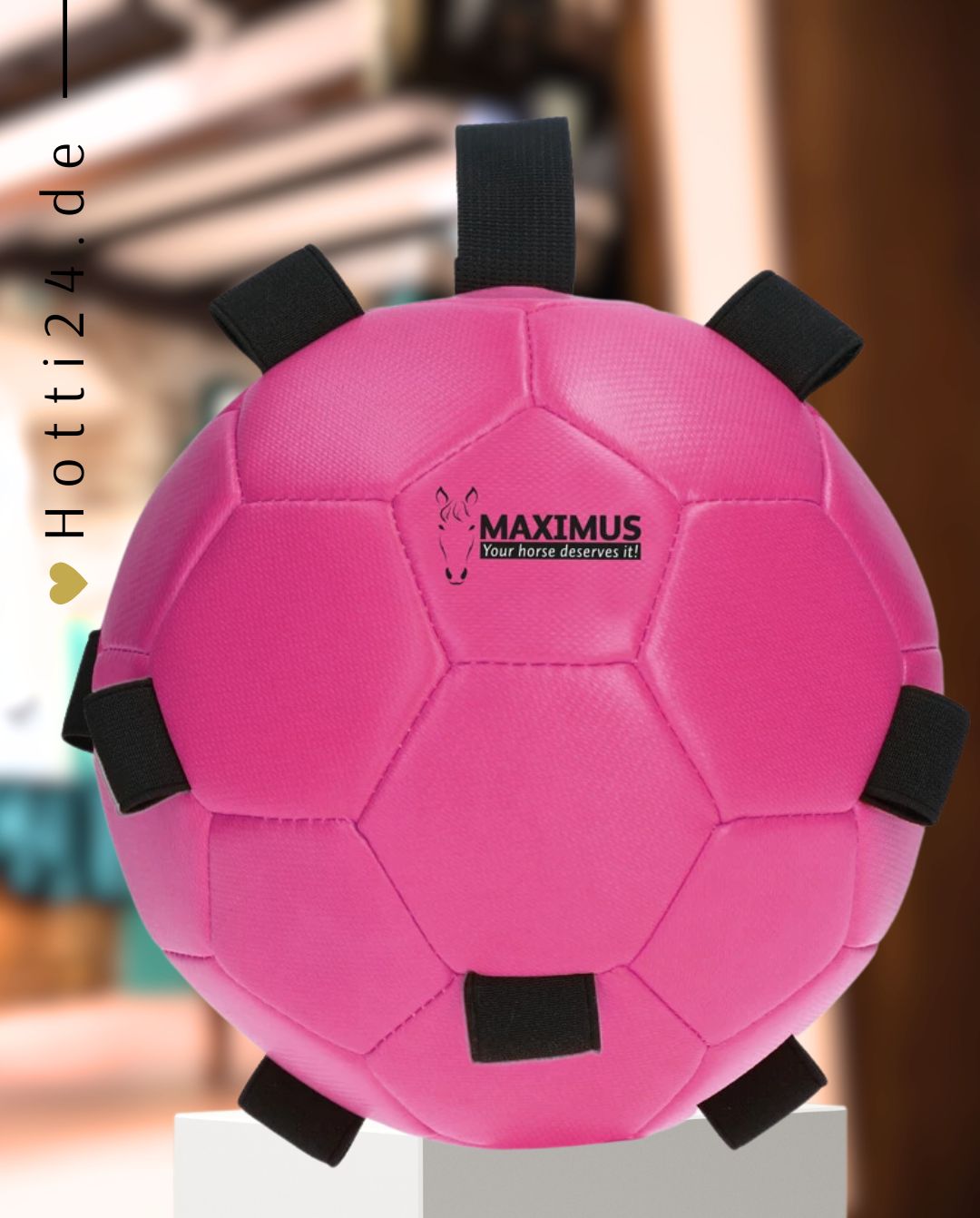 excellent-horse-fun-play-ball-pink-maxi5300-kaufen-hotti24