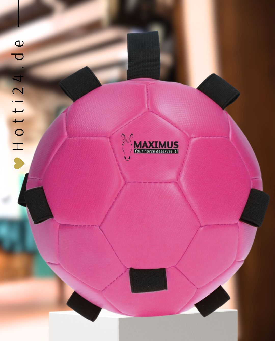 excellent-horse-fun-play-ball-pink-maxi5307-kaufen-www.hotti24.de