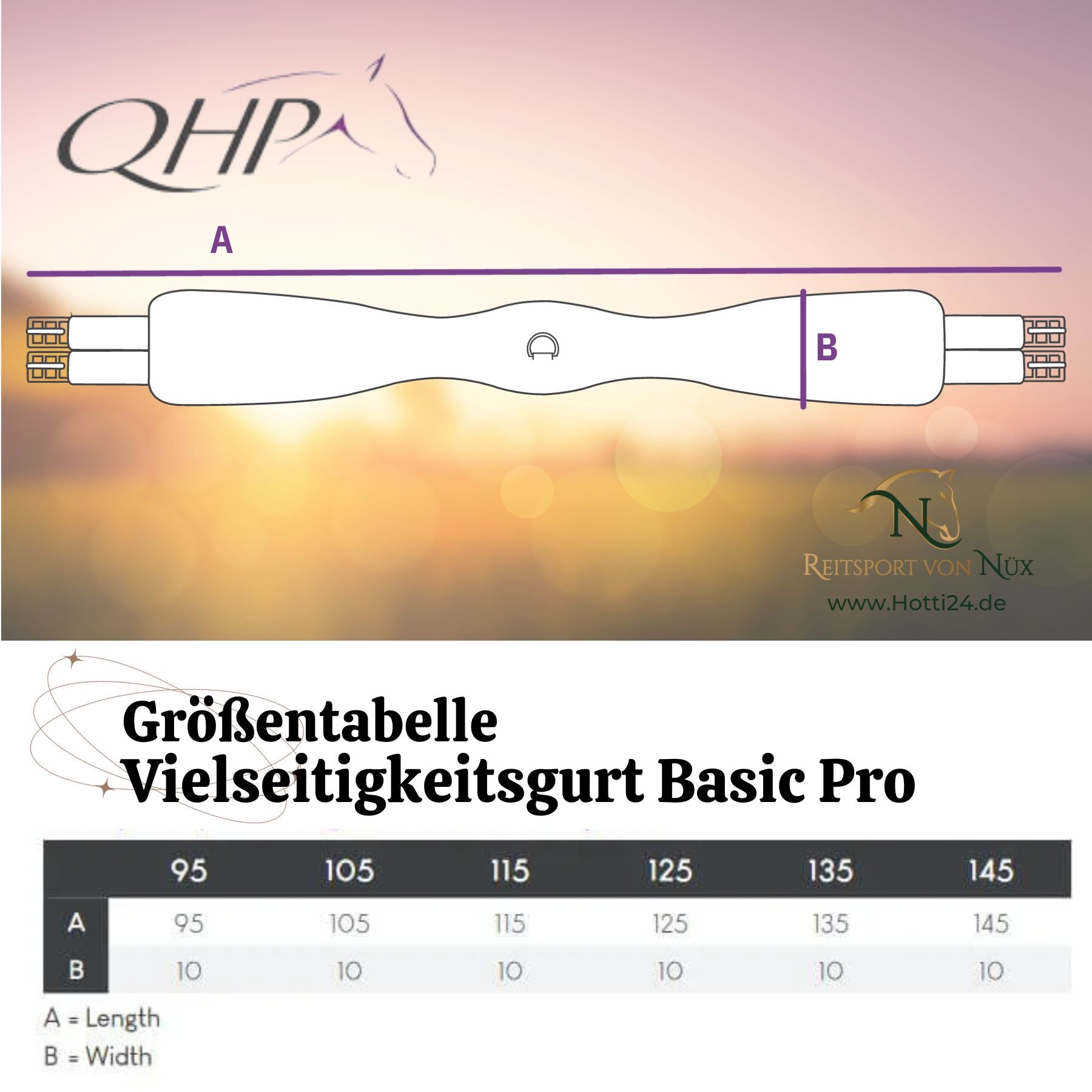 QHP »Vielseitigkeitsgurt Basic Pro