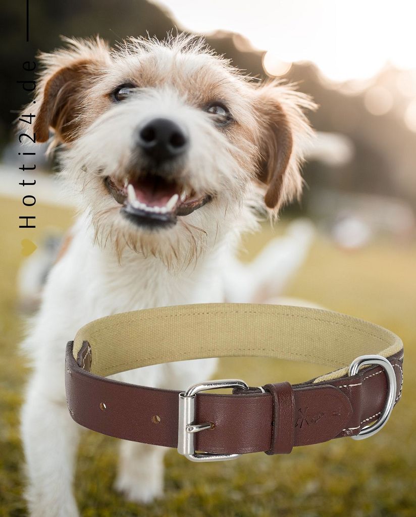 Das HV Polo Hundehalsband "Iconic" in der Farbe Braun (Farbcode 3404093512-8000) ist auf der Webseite www.hotti24.de erhältlich. Das Halsband könnte unter dem Namen "Iconic" geführt werden und speziell für Hunde konzipiert sein.