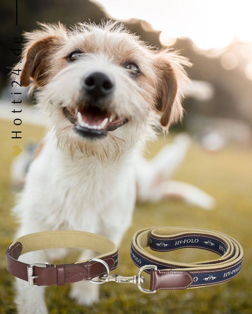 Das HV Polo Hundehalsband "Iconic" in der Farbe Braun (Farbcode 3404093512-8000) ist auf der Webseite www.hotti24.de erhältlich. Das Halsband könnte unter dem Namen "Iconic" geführt werden und speziell für Hunde konzipiert sein.