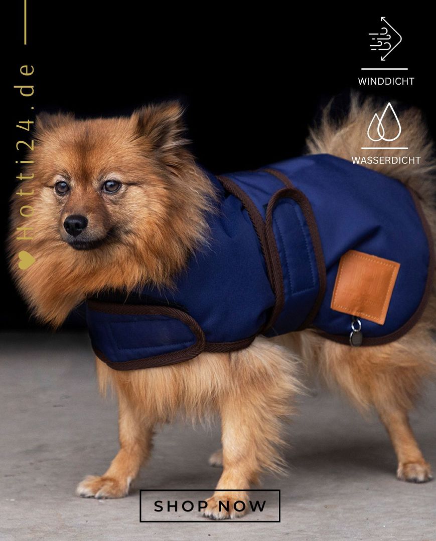 Der HV POLO Hundemantel "Puck" in Blau mit der Artikelnummer 3404093517-5001 ist ein stilvolles und praktisches Accessoire für Ihren geliebten Vierbeiner. Dieser Hundemantel hält Ihren Hund warm und trocken, besonders in kühlem oder nassem Wetter. Das schicke Design in Blau verleiht Ihrem Hund nicht nur Komfort, sondern auch einen modischen Look. Sie können diesen Hundemantel auf www.Hotti24.de erwerben.