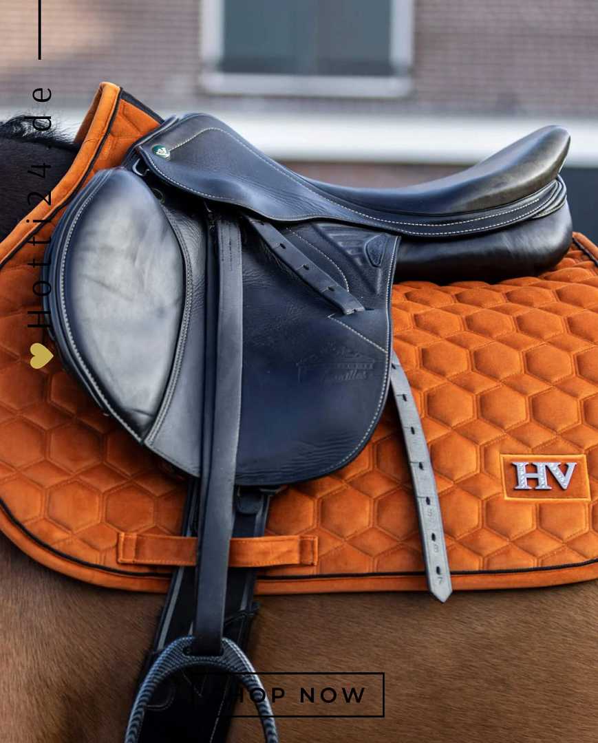 Pferde Dressurschabracke "Dorian" von HV POLO in der Farbe Orange mit der Artikelnummer 0802093510-3087. Diese Dressurschabracke wurde speziell entwickelt, um Ihrem Pferd während der Dressur einen eleganten und komfortablen Sitz zu bieten. Sie können diese Pferde Dressurschabracke auf der Website www.hotti24.de erwerben