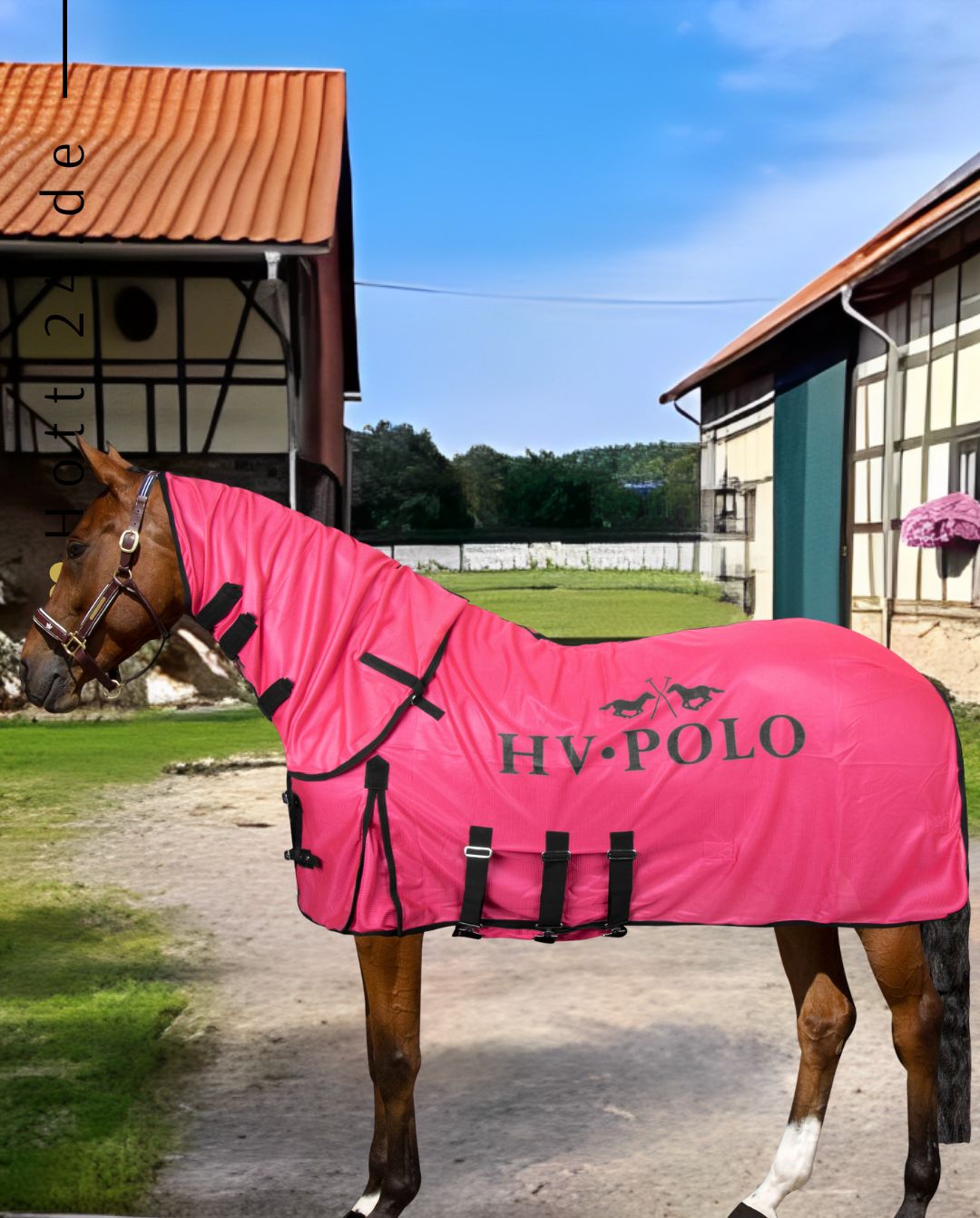 hv-polo-pferde-fliegendecke-hvpclassic-2405093501-4064-pink-kaufen-www.hotti24.de