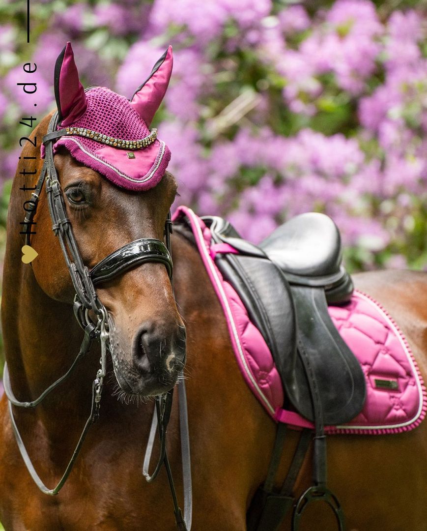 Imperial Riding präsentiert die Dressurschabracke IRH Lovely in der Farbkombination Dark Flower/Pink mit der Artikelnummer ZT78122000-3156. Diese Dressurschabracke vereint Stil und Funktionalität und ist ideal für Dressuraktivitäten. Für weitere Informationen und die Möglichkeit zum Kauf besuchen Sie bitte die Website www.Hotti24.de