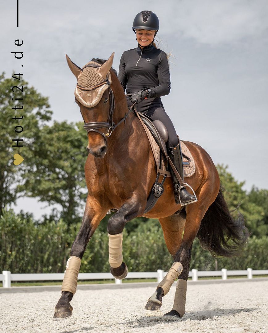 Imperial Riding präsentiert die Dressurschabracke IRHSKY in der Farbe Cappuccino Braun mit der Artikelnummer ZT78322001-8043. Diese Schabracke kombiniert Funktionalität mit einem stilvollen Design und eignet sich perfekt für Dressuraktivitäten. Für weitere Informationen und die Möglichkeit zum Kauf besuchen Sie bitte die Website www.Hotti24.de