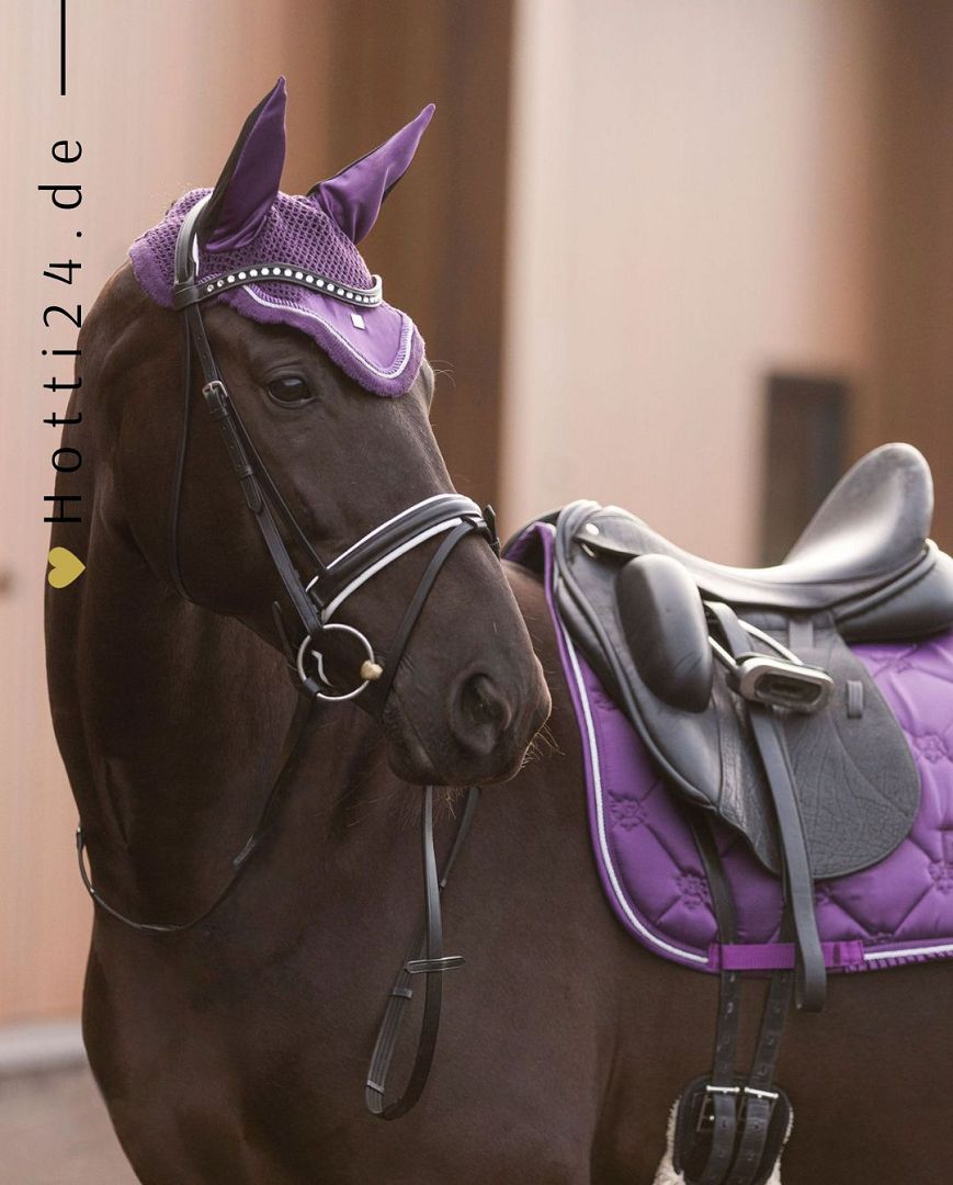 Imperial Riding präsentiert die Fliegenhaube Lovely in der Farbe Black Berry mit der Artikelnummer DE90122000. Diese Fliegenhaube bietet nicht nur Schutz vor lästigen Insekten, sondern setzt auch modische Akzente mit einem ansprechenden Design. Für weitere Informationen und die Möglichkeit zum Kauf besuchen Sie bitte die Website www.Hotti24.de