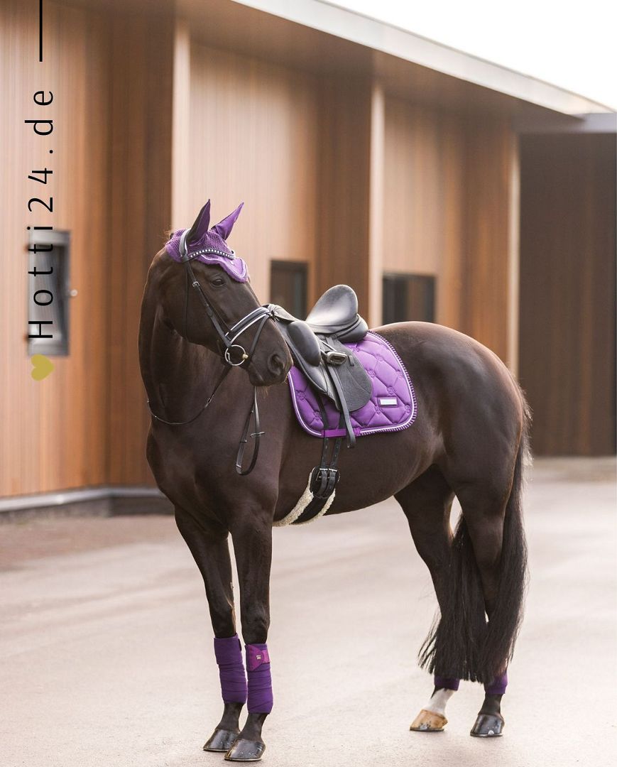 Imperial Riding präsentiert die Fliegenhaube Lovely in der Farbe Black Berry mit der Artikelnummer DE90122000. Diese Fliegenhaube bietet nicht nur Schutz vor lästigen Insekten, sondern setzt auch modische Akzente mit einem ansprechenden Design. Für weitere Informationen und die Möglichkeit zum Kauf besuchen Sie bitte die Website www.Hotti24.de