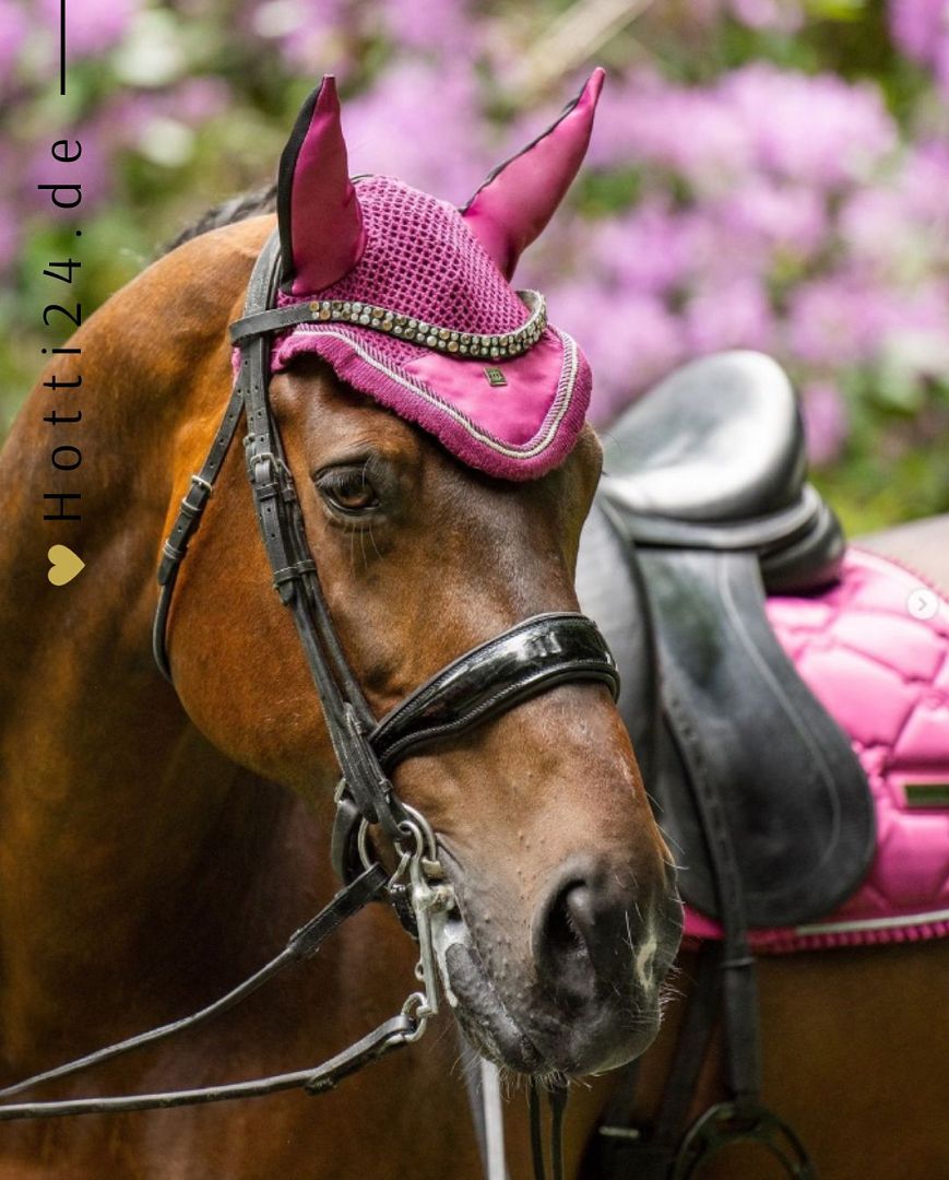 "Imperial Riding präsentiert die Fliegenhaube Lovely Dark Flower mit der Artikelnummer DE90122000-3156. Diese Fliegenhaube bietet nicht nur Schutz vor lästigen Insekten, sondern setzt auch modische Akzente mit dem ansprechenden Design. Weitere Informationen und die Möglichkeit zum Kauf finden Sie auf der Website www.Hotti24.de."