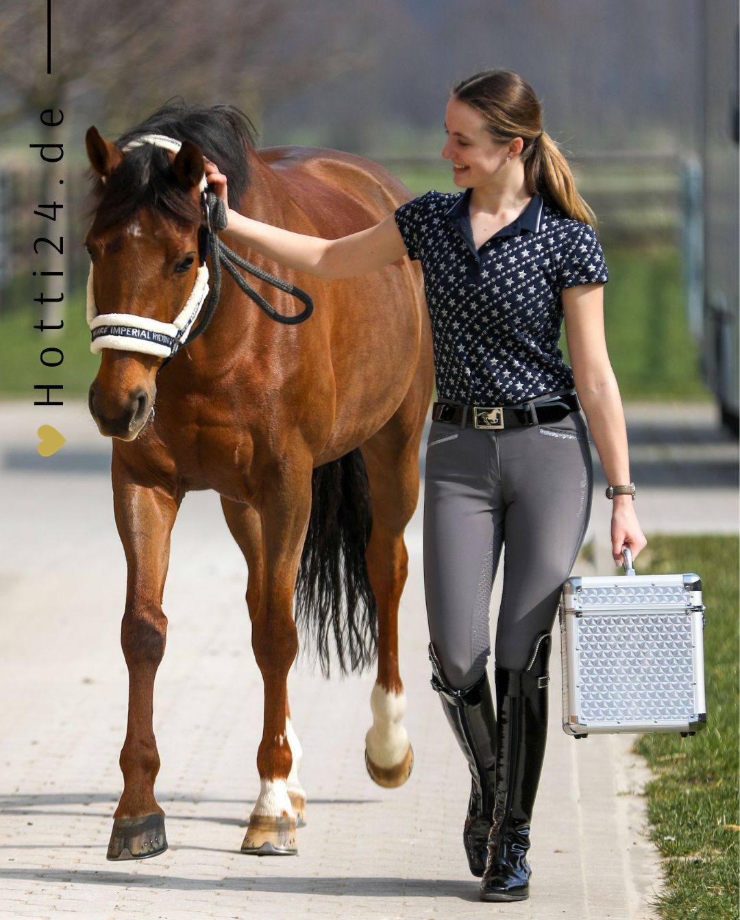 Imperial Riding »Pferde Putzbox Putzkoffer Shiny Silber, unser Bestseller Putzbox Shiny ist das perfekte Beauty-Case zur Aufbewahrung all deiner Pflegeprodukte und Accessoires Artikelnummer ST68120002-7034 erhältlich bei www.Hotti24.de