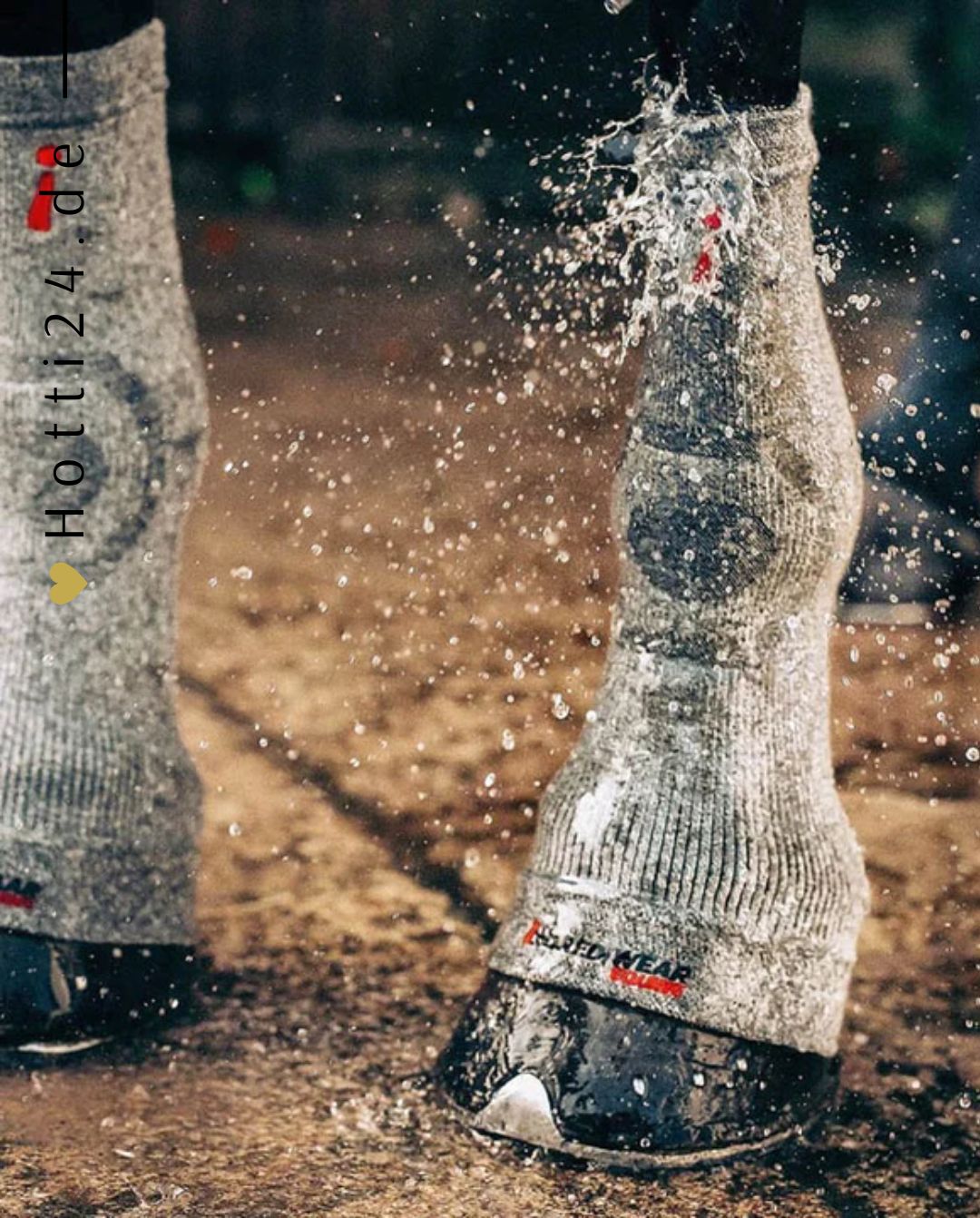 Incrediwear Equine »Pferde Hufsocken 2er Set Artikelnummer ESS-12-003 in Grau. Mindert das Risiko von Verletzungen, körpereigene Bekämpfung von Entzündungen, verbesserter Nährstoff- und Sauerstofftransport, verkürzte die Erholungs- und Regenerationszeiten, schnelleres Abklingen von Schwellungen & Prellungen. Erhältlich unter www.Hotti24.de