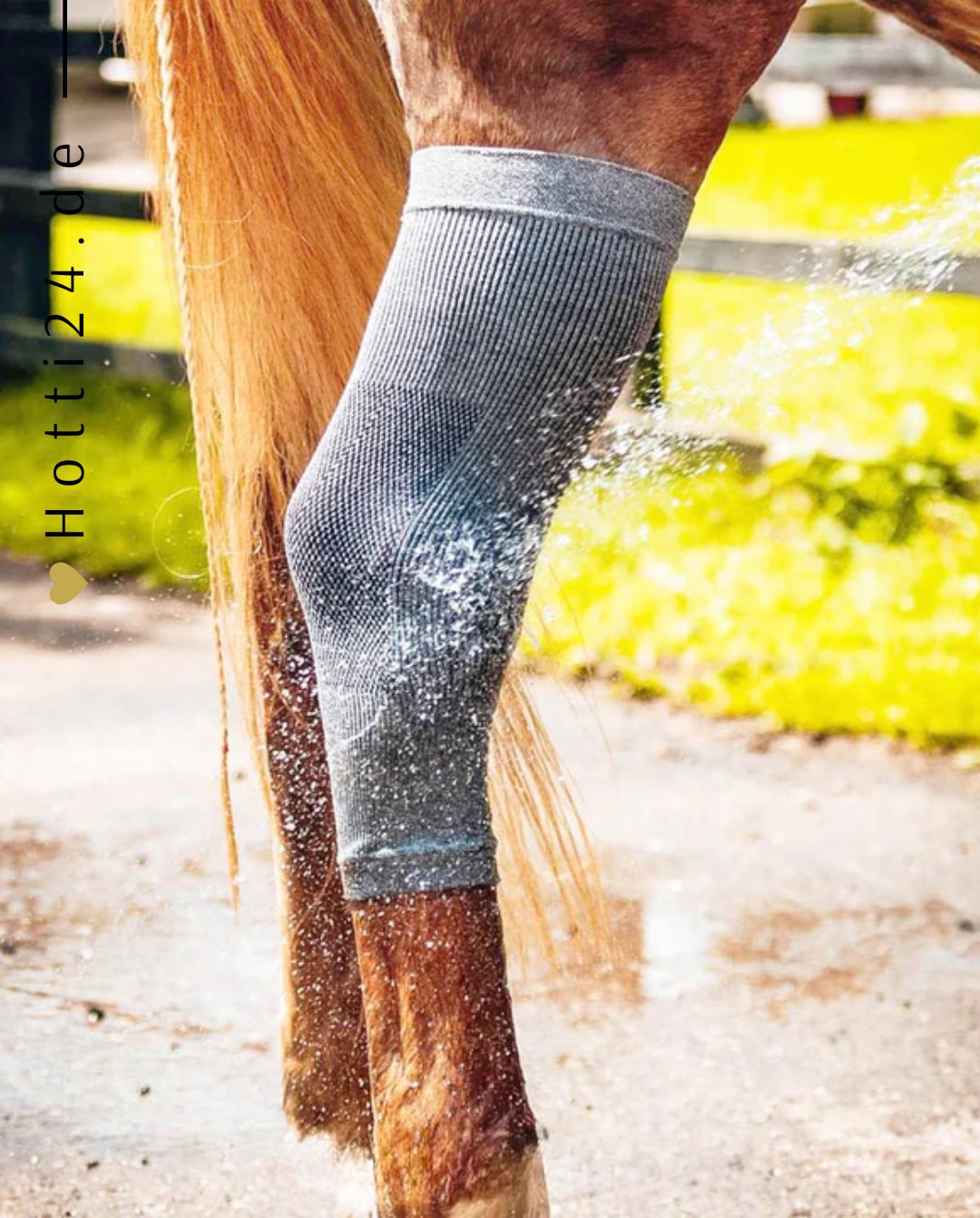 Incrediwear Equine »Pferde Hufsocken 2er Set Artikelnummer ESS-12-003 in Grau. Mindert das Risiko von Verletzungen, körpereigene Bekämpfung von Entzündungen, verbesserter Nährstoff- und Sauerstofftransport, verkürzte die Erholungs- und Regenerationszeiten, schnelleres Abklingen von Schwellungen & Prellungen. Erhältlich unter www.Hotti24.de