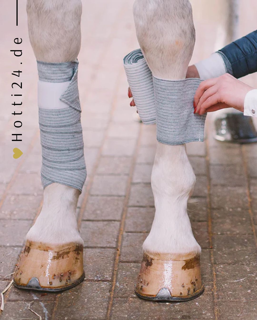 incrediwear equine »pferde wickelbandagen 2er set Artikelnummer ess-12-002 in Grau. Mindert das Risiko von Verletzungen, körpereigene Bekämpfung von Entzündungen, verbesserter Nährstoff- und Sauerstofftransport, verkürzte die Erholungs- und Regenerationszeiten, schnelleres Abklingen von Schwellungen & Prellungen. Erhältlich unter www.Hotti24.de