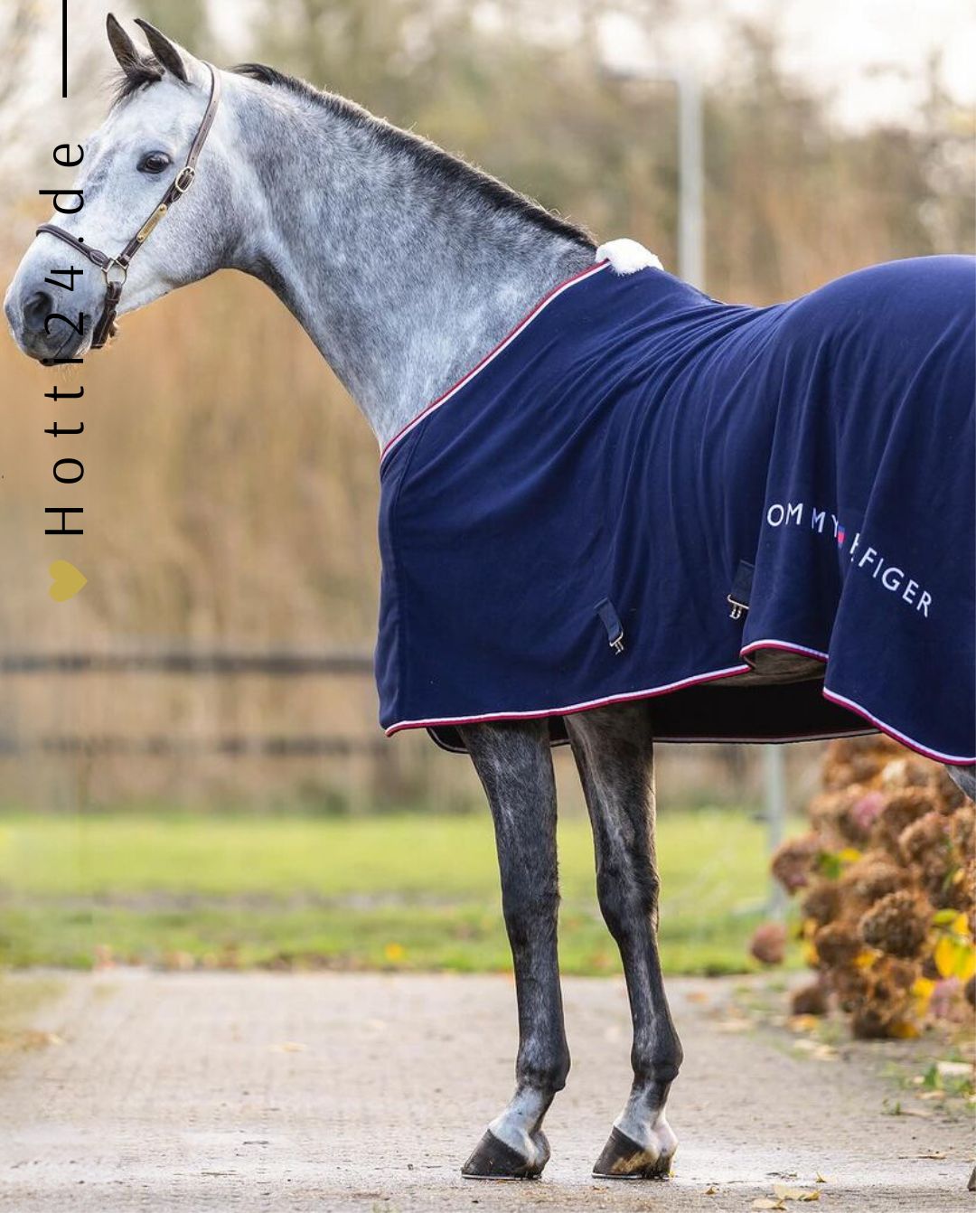 tommy-hilfiger-equestrian-pferde-abschwitzdecke-paris-th08hrug636-004-kaufen-www.hotti24.de