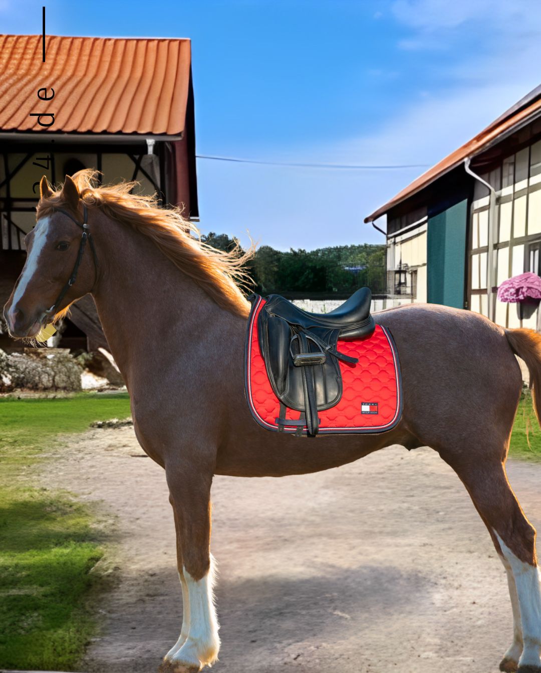 tommy-hilfiger-equestrian-pferde-dressurschabracke-kingston-th13hsap752-005-rot-kaufen-www.hotti24.de