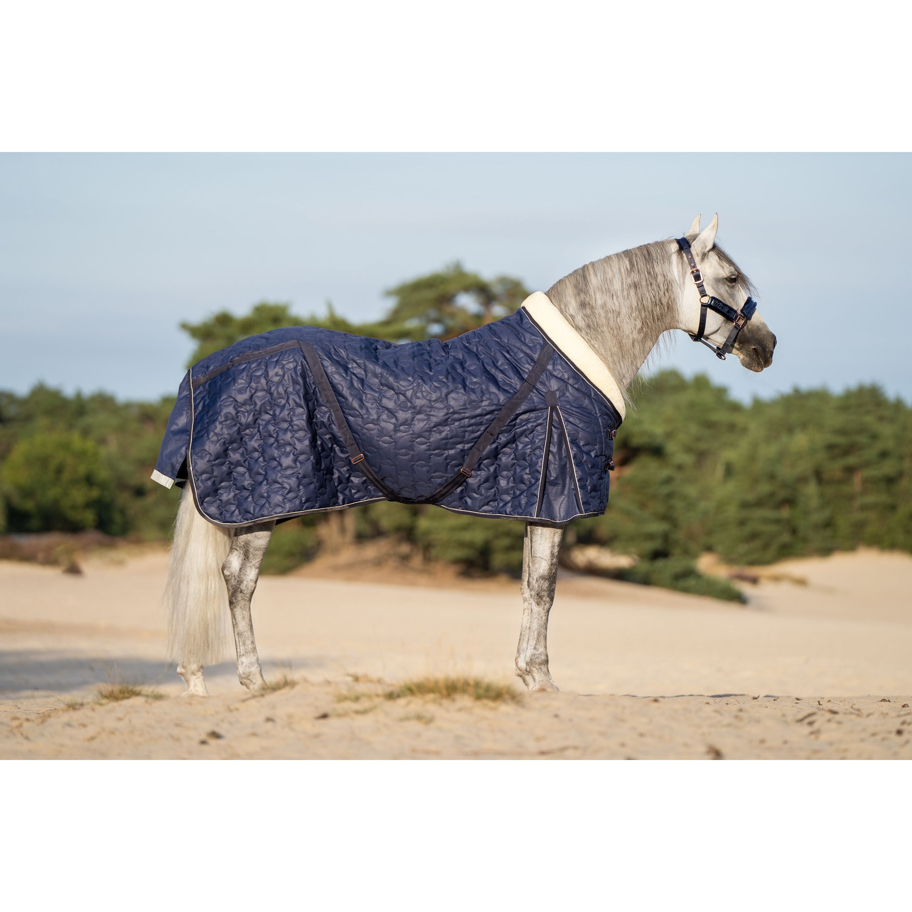 imperial-riding-stalldecke-super-dry-navy-de303210005001-www-hotti24-de-3