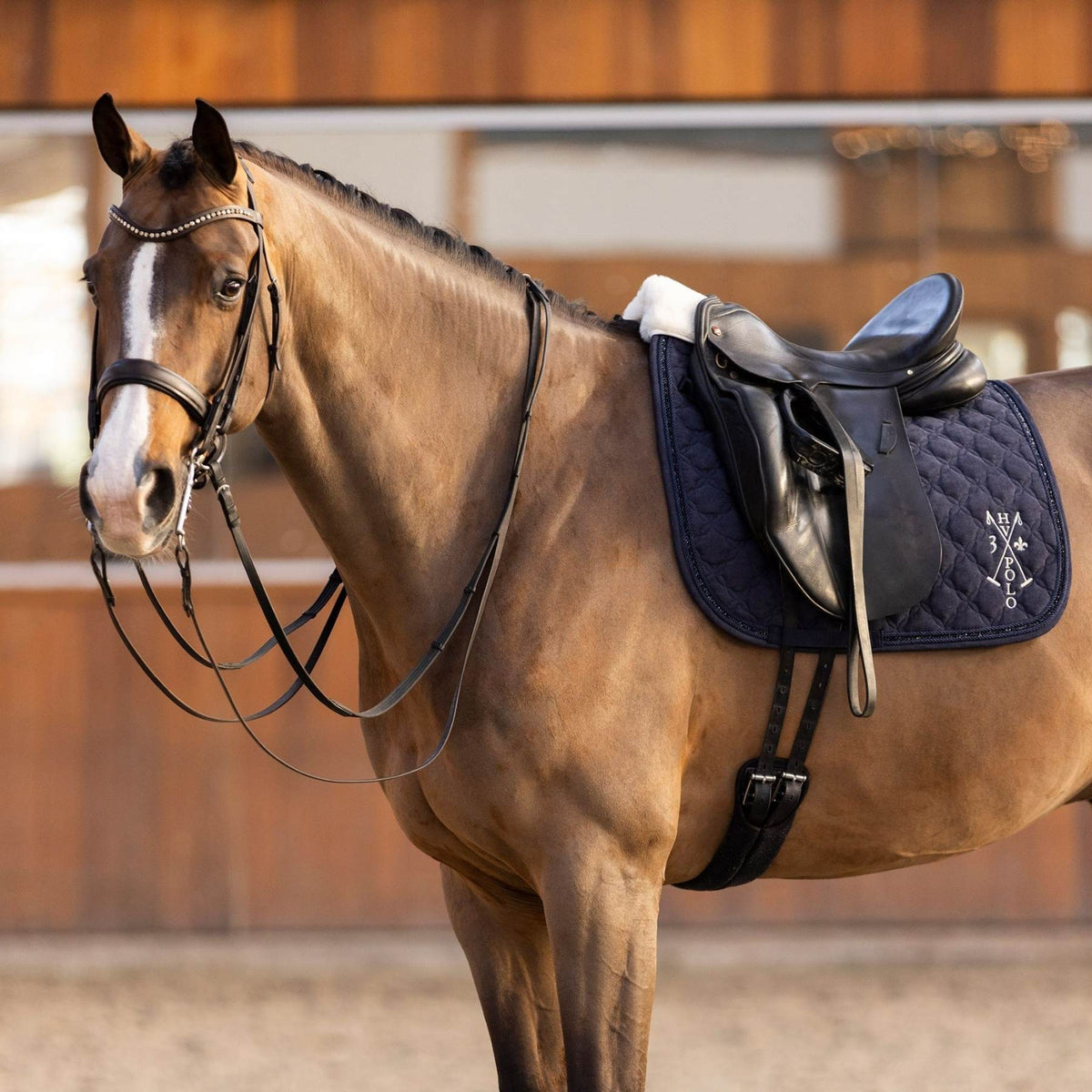 HV POLO »Dressurschabracke HVPFranka Navy