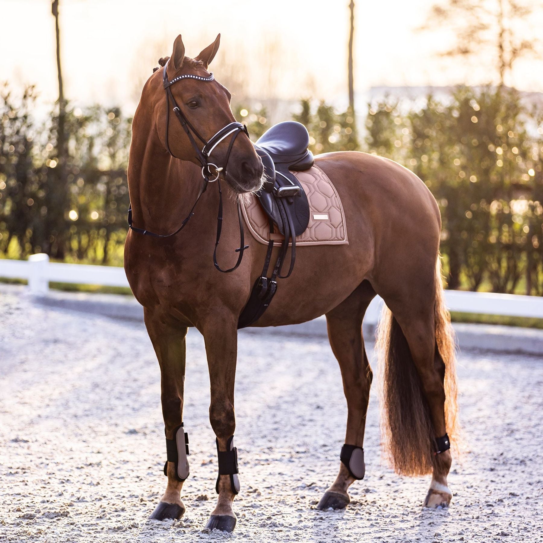 IMPERIAL RIDING »Streichkappen IRHLovely Cappuccino